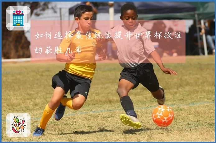 如何选择最佳玩法提升世界杯投注的获胜几率