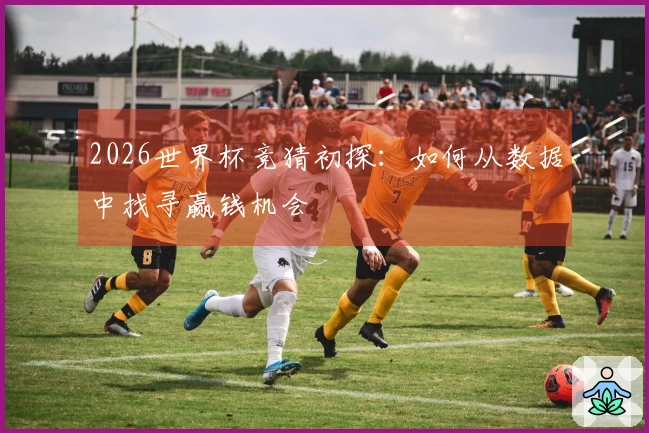 2026世界杯竞猜初探：如何从数据中找寻赢钱机会