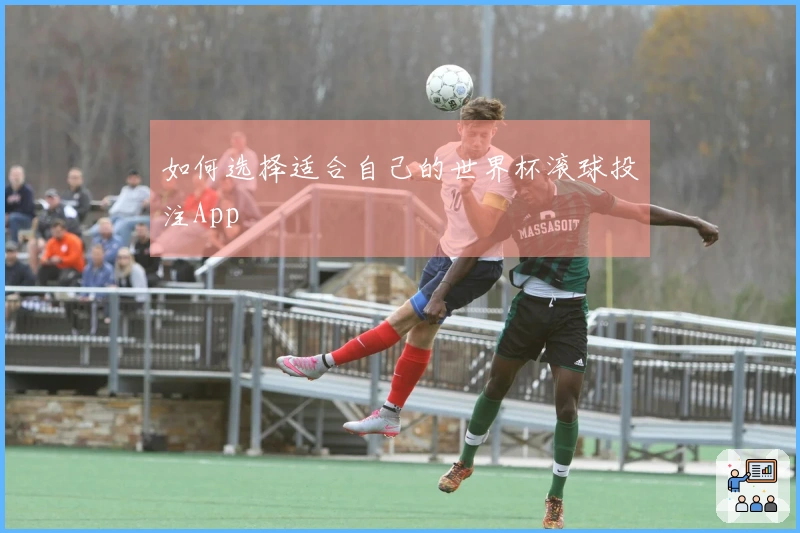 如何选择适合自己的世界杯滚球投注App